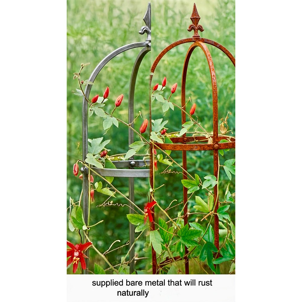 Traditional Steel Obelisk Plant Support