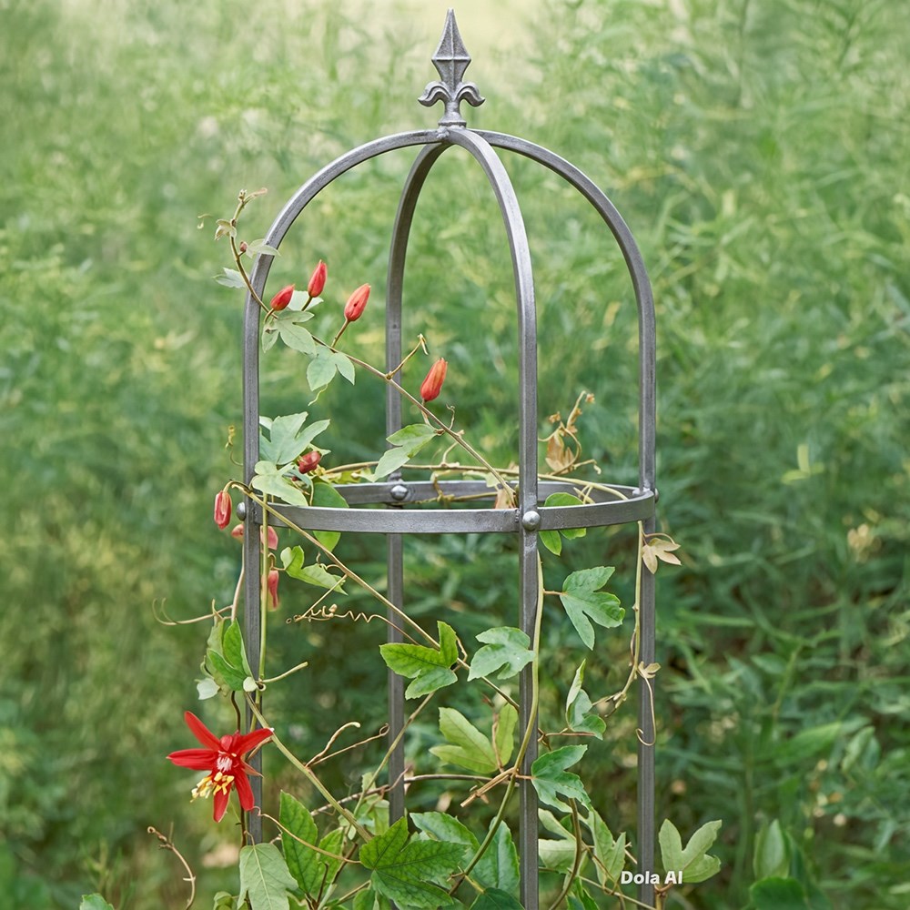 Traditional Steel Obelisk Plant Support
