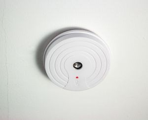 PestBye Battery Operated Ultrasonic Rat & Mouse Rodent Repeller