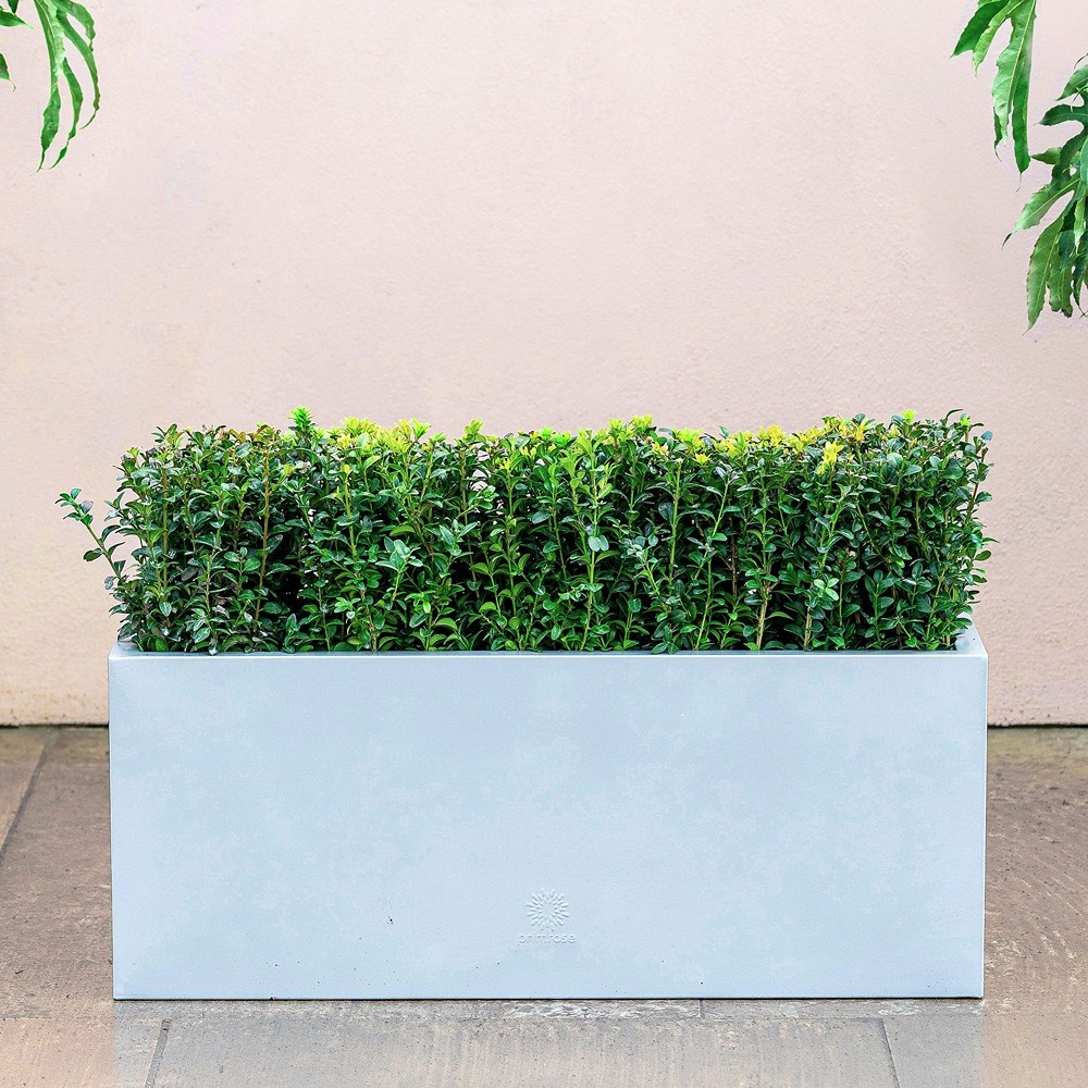 Silver Zinc Trough Planter