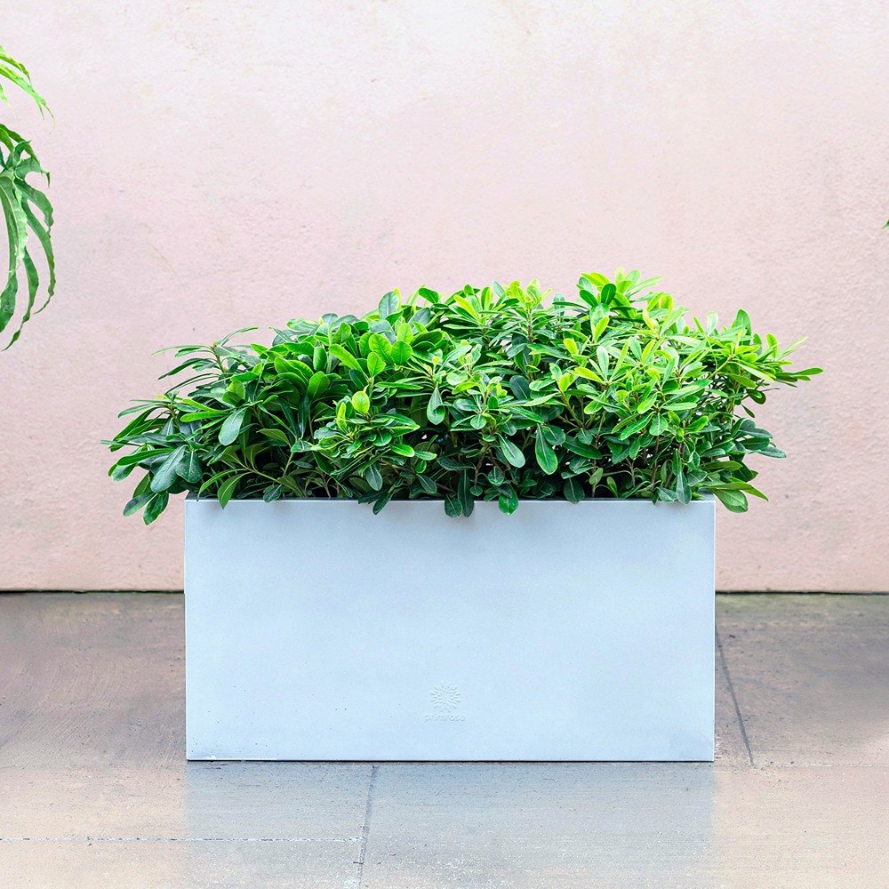 Silver Zinc Trough Planter