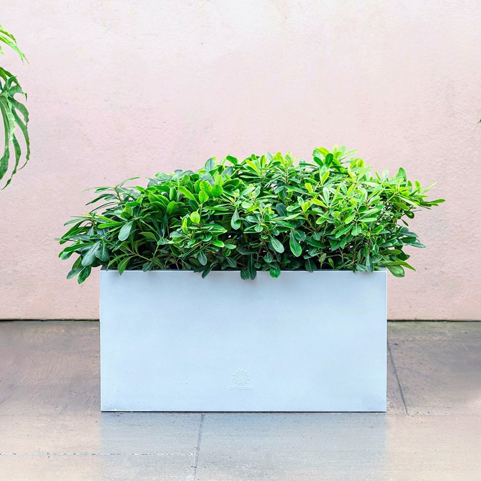 Silver Zinc Trough Planter