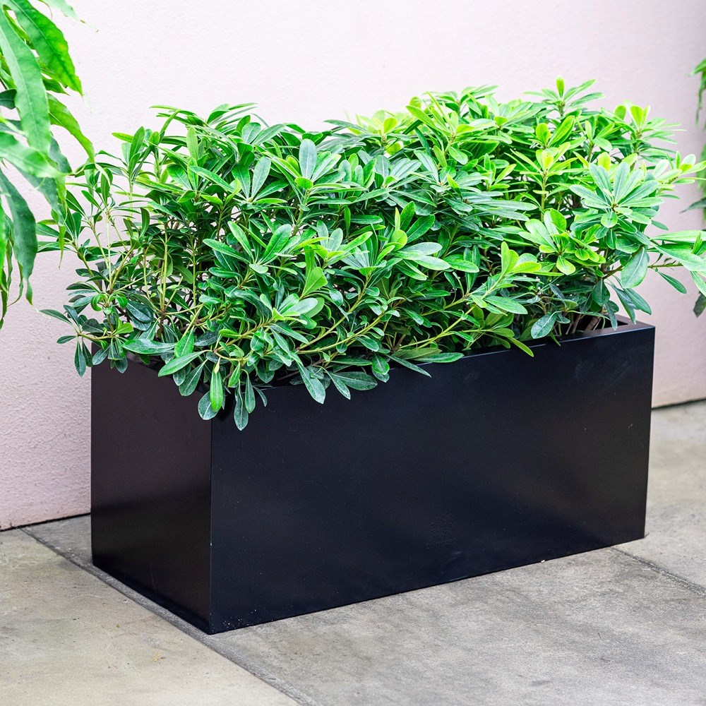 70cm Black Zinc Trough Planter