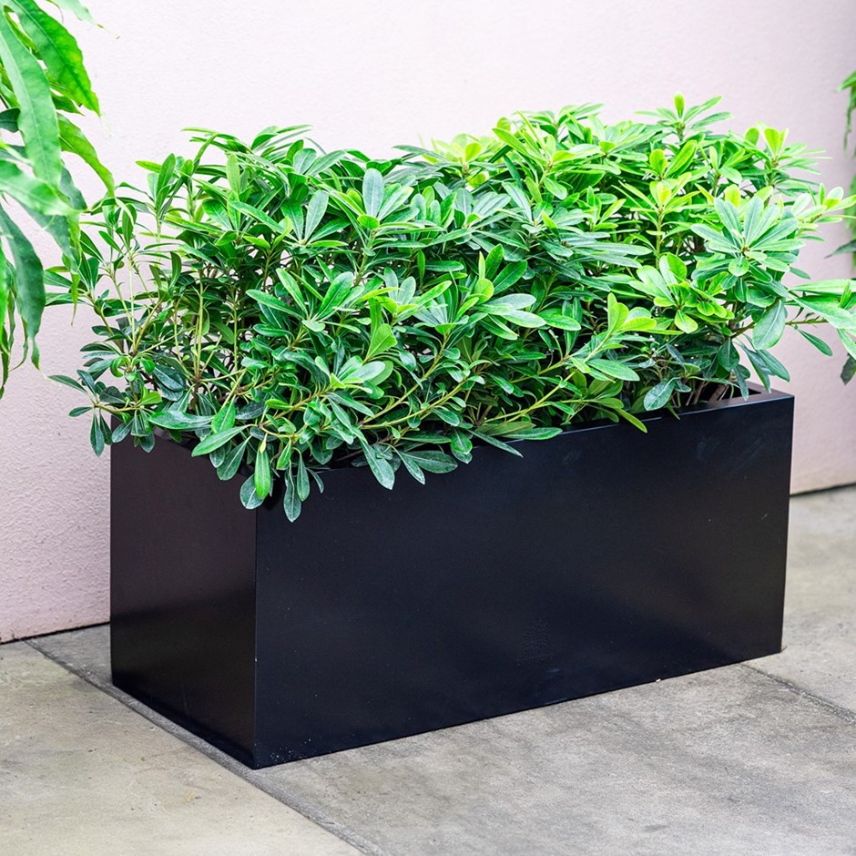 Black Zinc Trough Planter