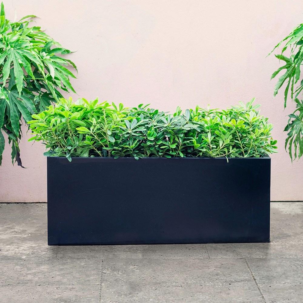 Black Zinc Trough Planter