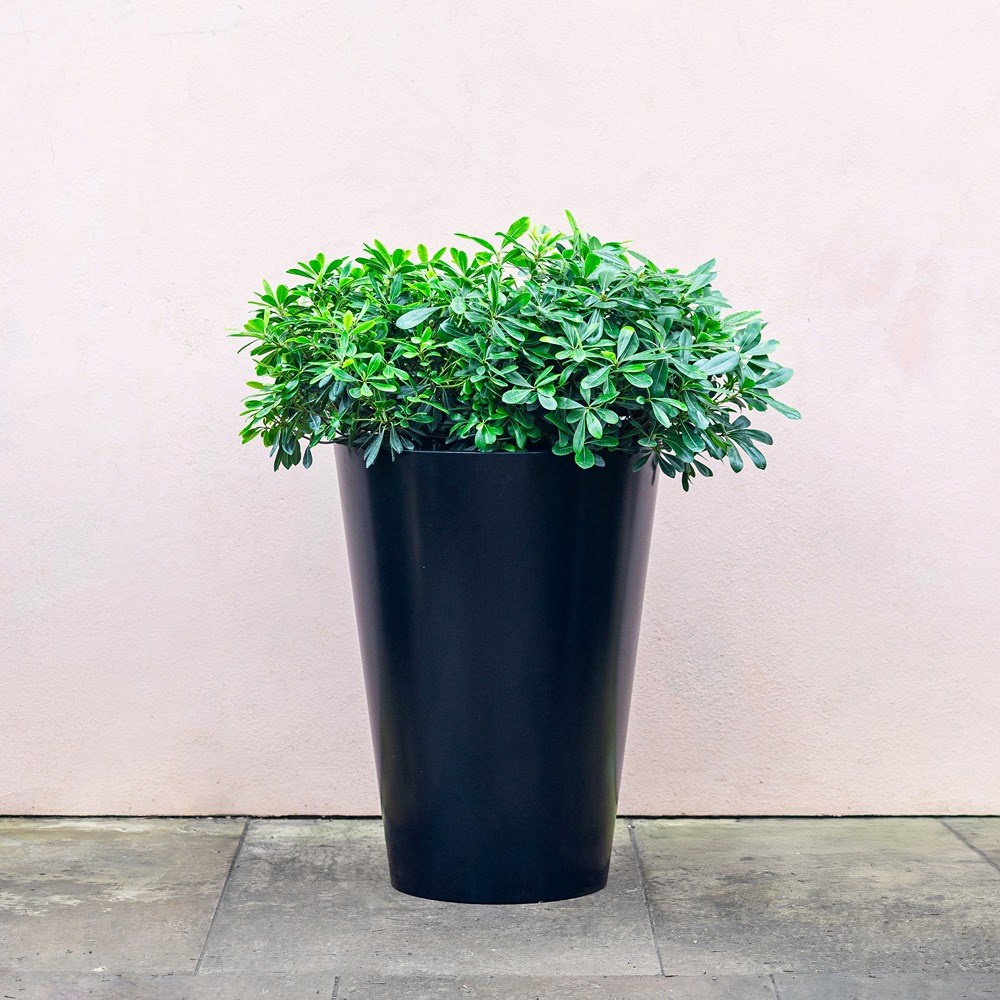 Black Zinc Tall Round Planter