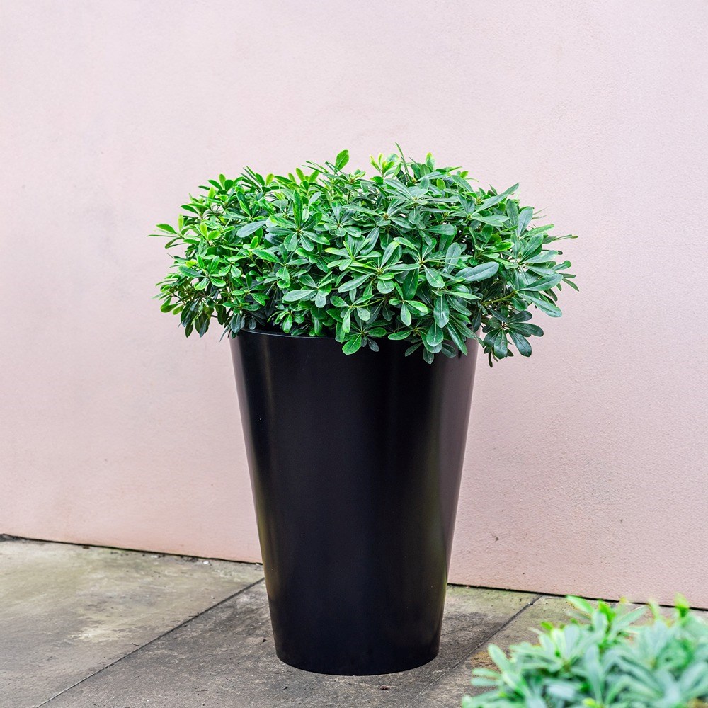 Black Zinc Tall Round Planter
