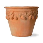 Fibrecotta Round Citrus Planter