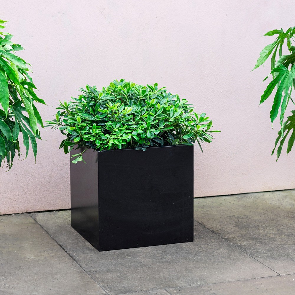 Black Zinc Cube Planter