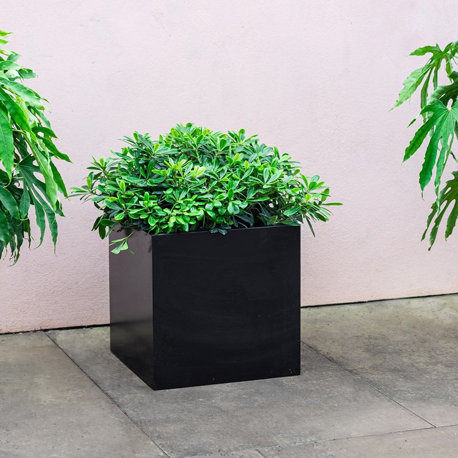 Black Zinc Cube Planter
