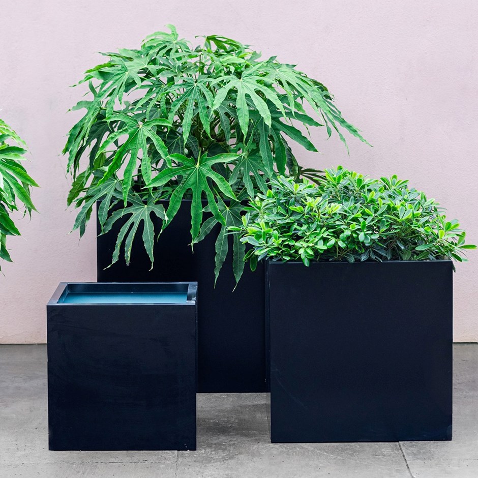 Black Zinc Cube Planter