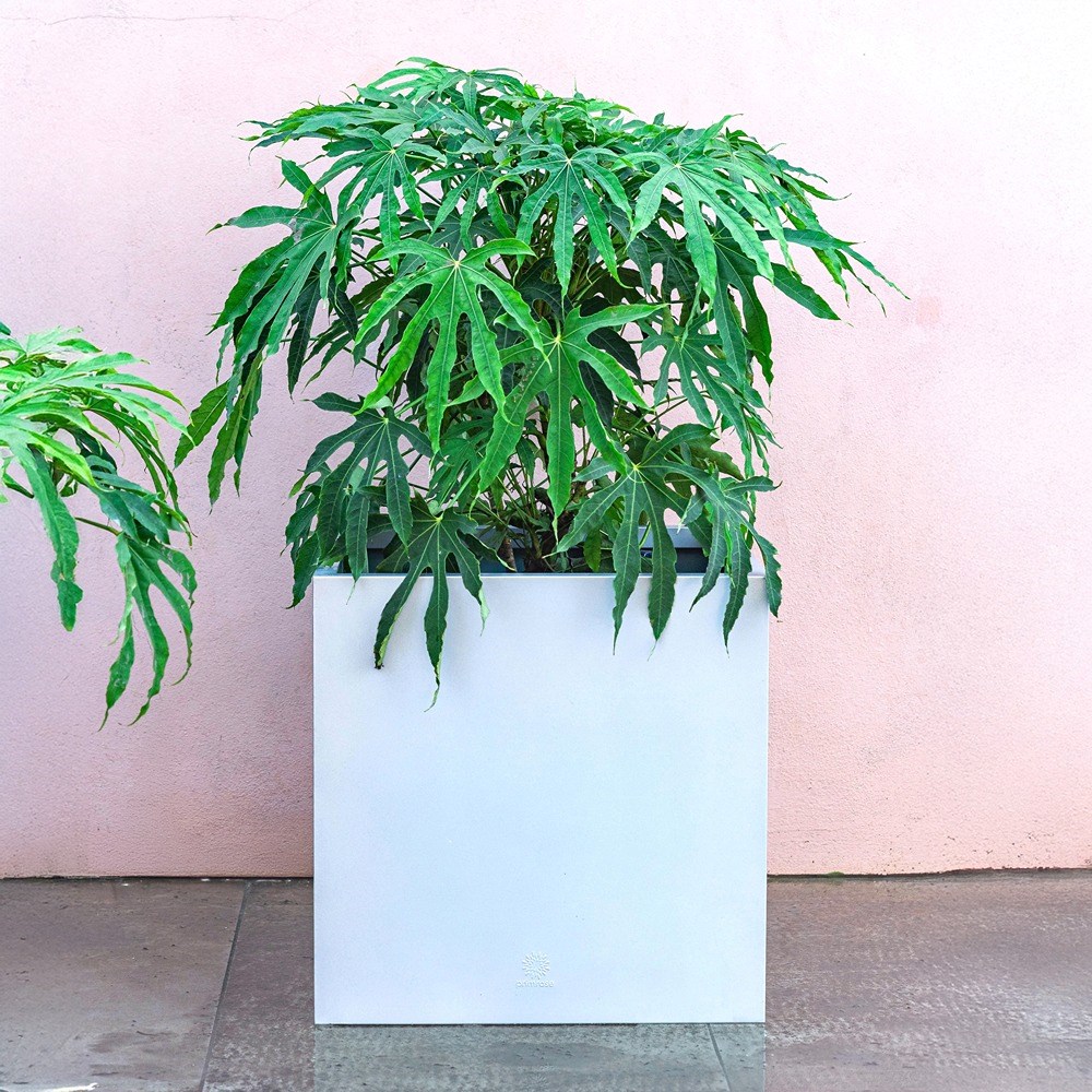 Silver Zinc Cube Planter