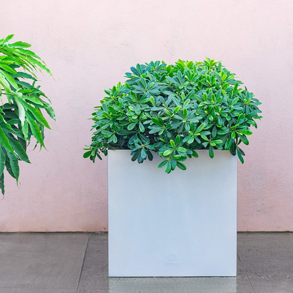 Silver Zinc Cube Planter