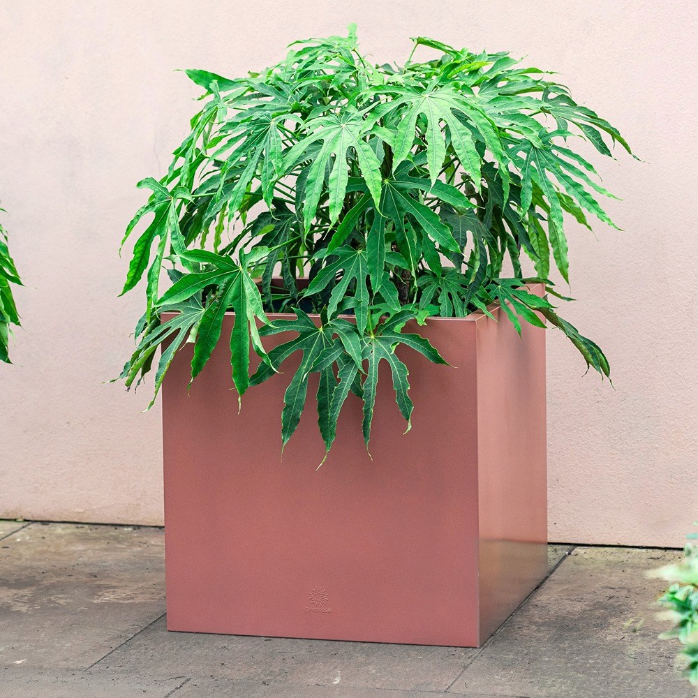 Copper Zinc Cube Planter