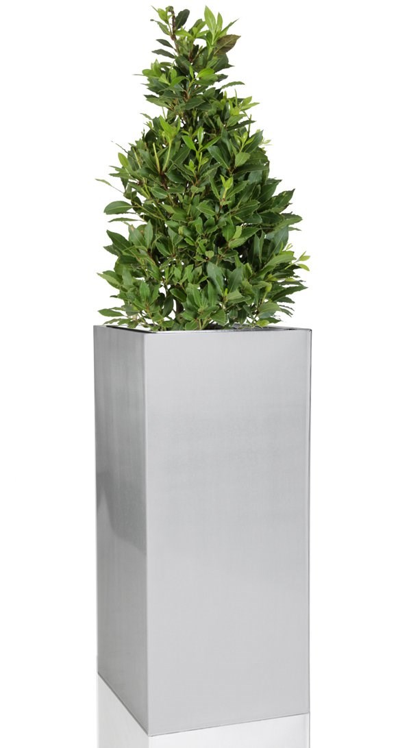H50cm Zinc Galvanised Tall Cube Planter in Silver - By Primrose™