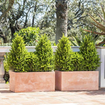 80cm Terracotta Fibrecotta Trough Planters - Set of 2