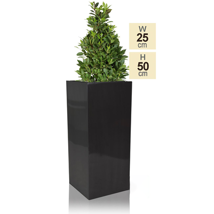 H50cm Zinc Galvanised Tall Platinum Cube Planter - By Primrose™