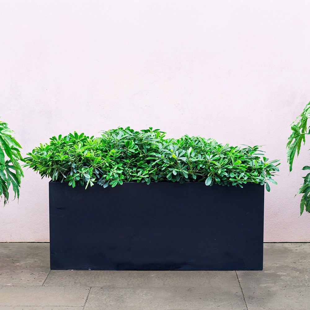 Black Zinc Trough Planter