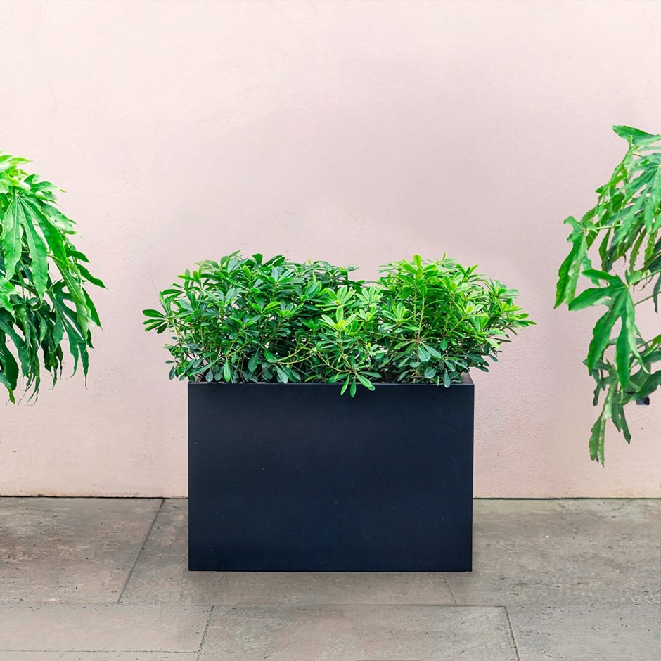 Black Zinc Trough Planter