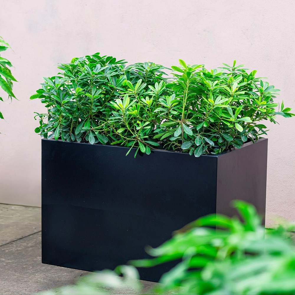Black Zinc Trough Planter