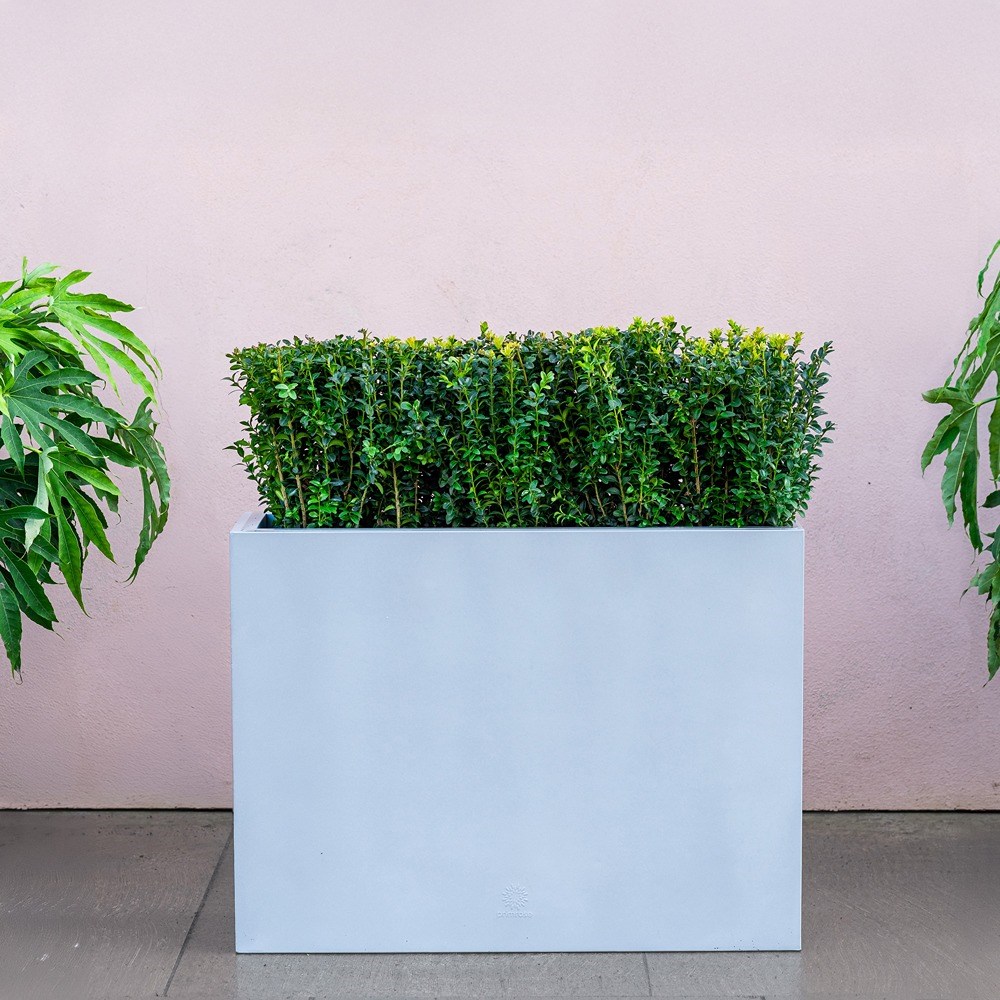 Silver Zinc Tall Trough Planter