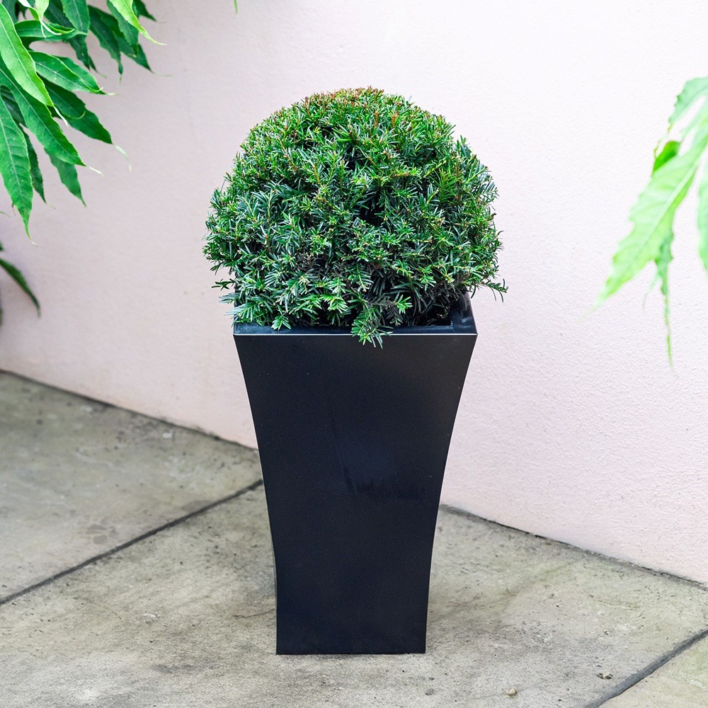 Black Zinc Tapered Square Planter