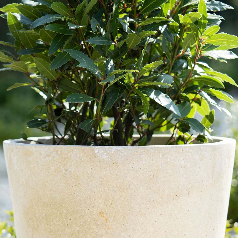 45cm Fiberstone Round Planter in Cream