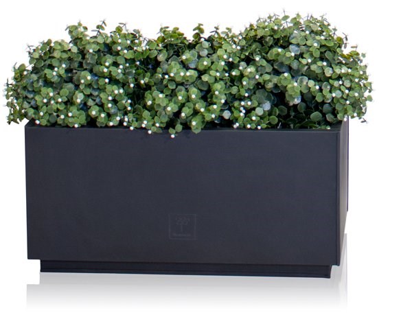 L60cm Zinc Galvanised Kick-Bottom Trough Planter in Platinum by Primrose™