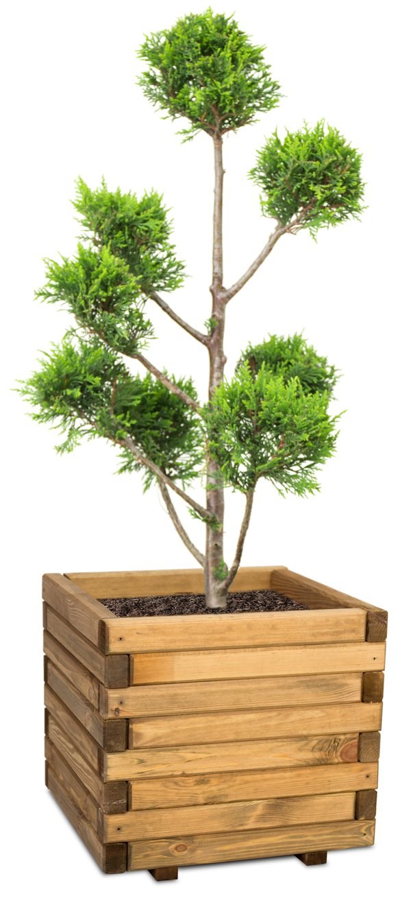 50cm Medium Wooden Pine Raised Cube Planter