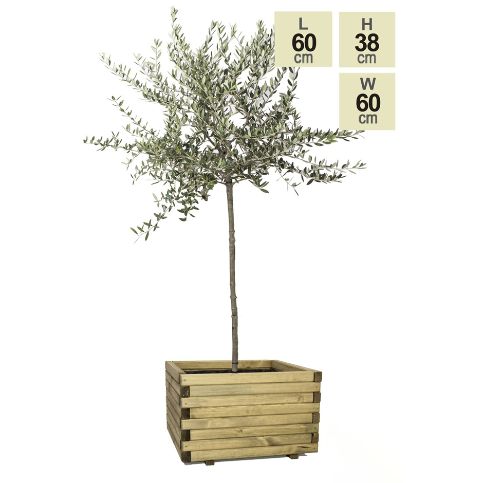 60cm Large Wooden Pine Raised Cube Planter