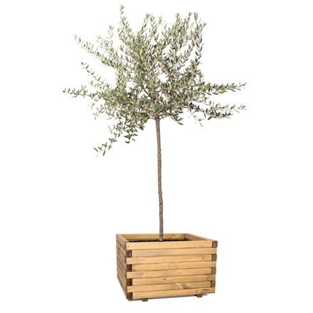 60cm Large Wooden Pine Raised Cube Planter