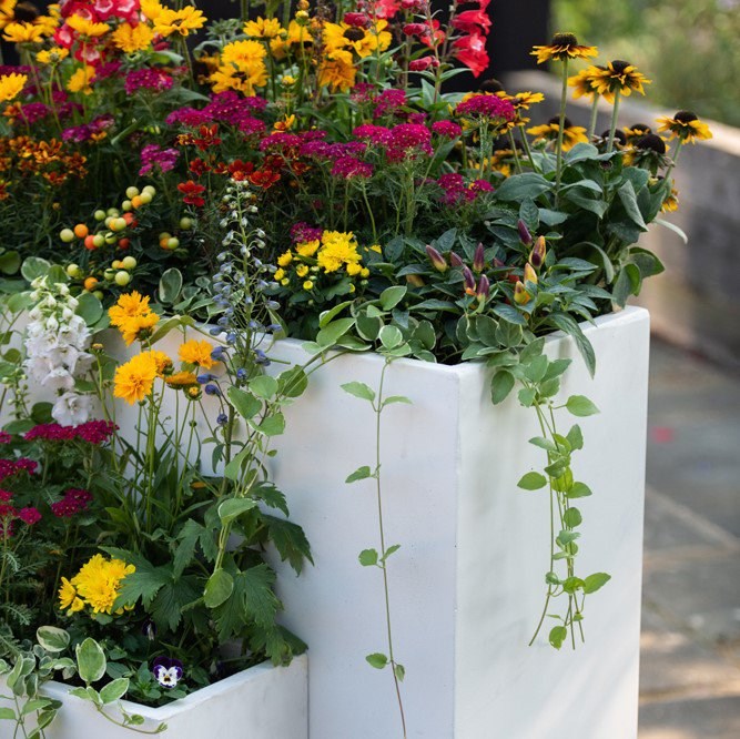White Fibrecotta Tall Trough Planter With Insert