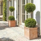 Light Terracotta Cube Planter