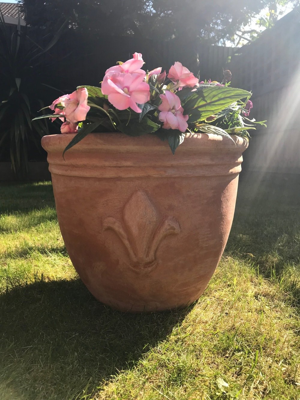 D47cm Terracotta Planter With Fleur De Lis