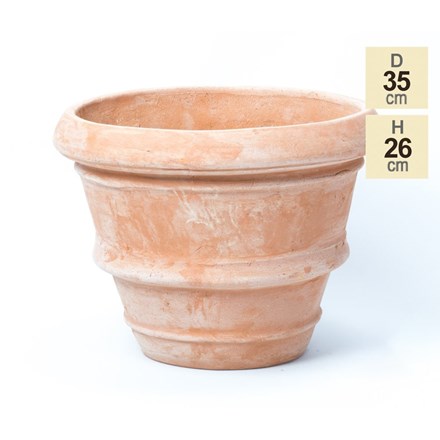 D34.5cm Terracotta Rolled Rim Planter