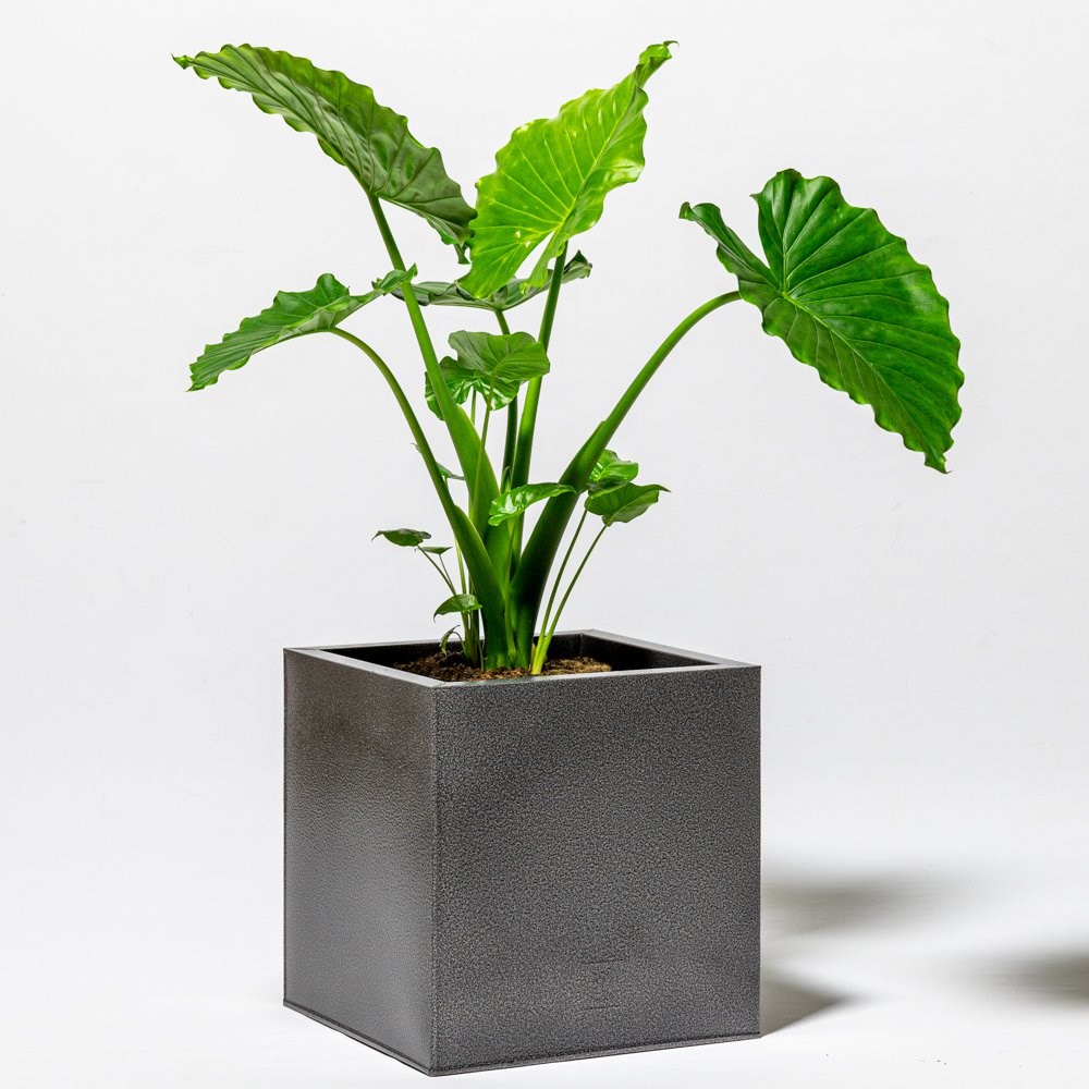 50cm Cube Zinc Silver & Black Textured Dipped Galvanised Planter