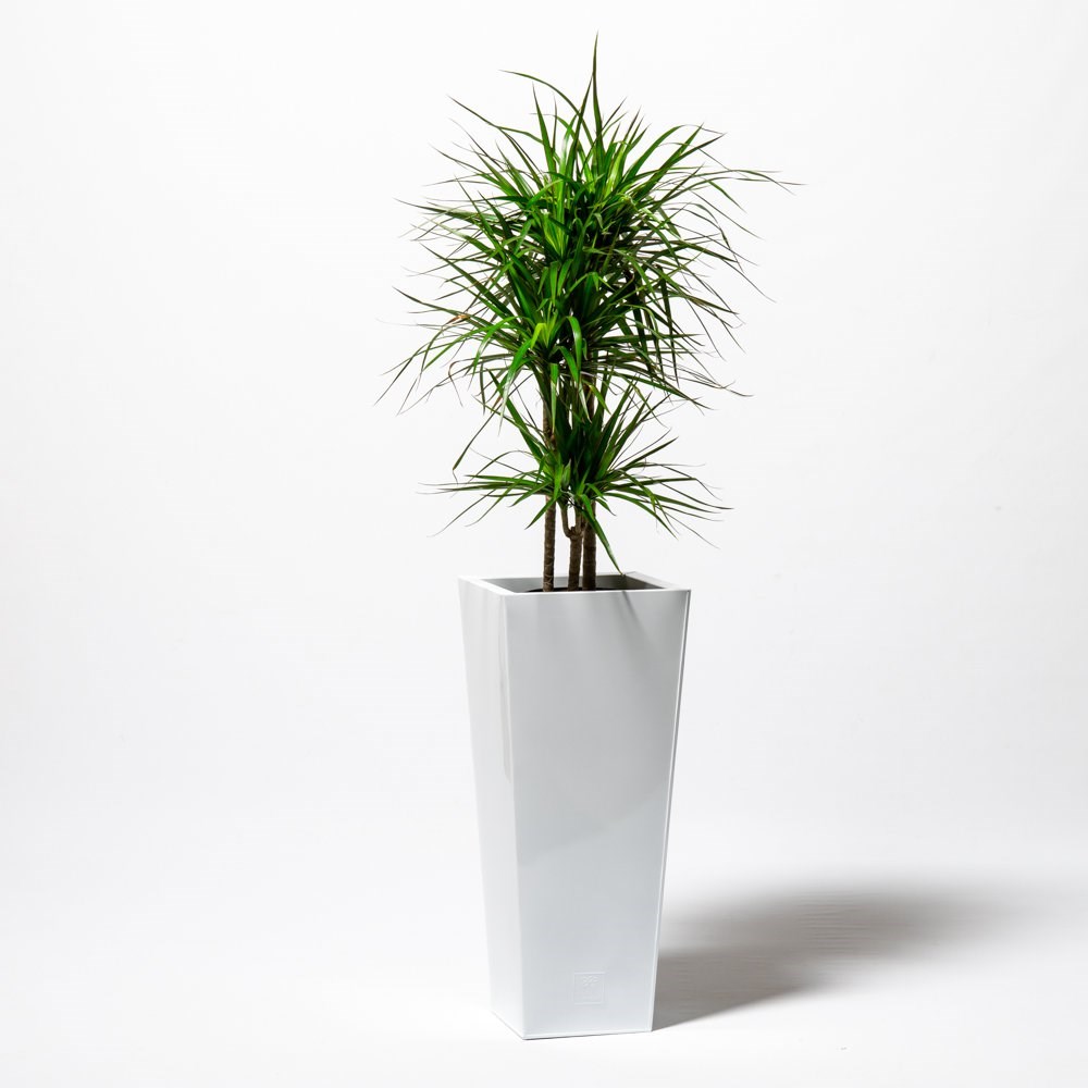 90cm Flared Square Zinc White Gloss Dipped Galvanised Plante
