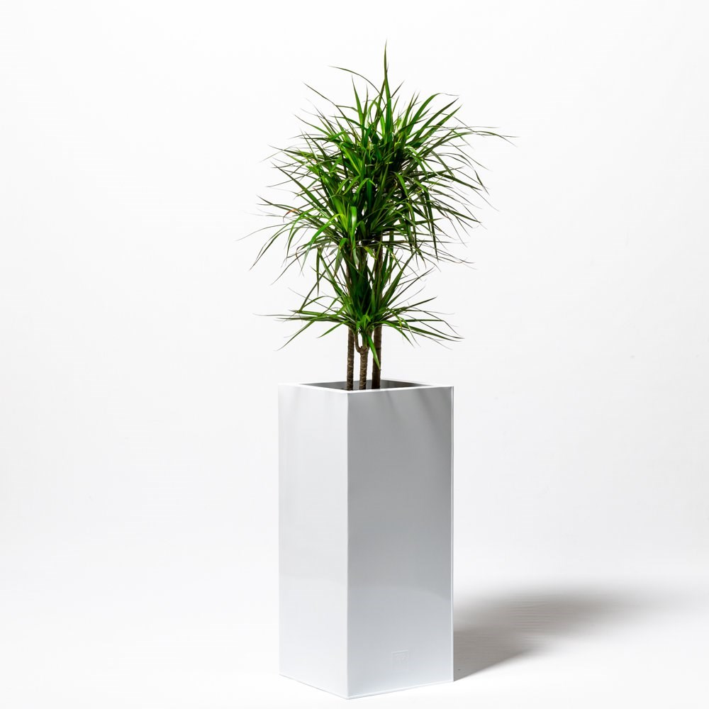100cm Tall Cube Zinc White Gloss Dipped Galvanised Planter