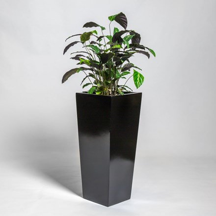 90cm Black Gloss Polystone Tall Flared Planter