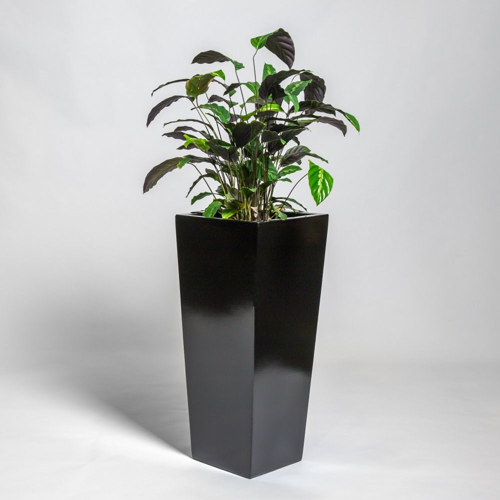 75cm Black Polystone Tall Flared Planter