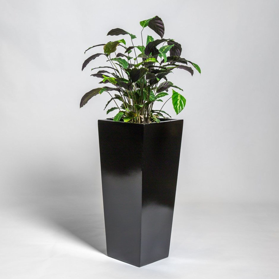 75cm Black Gloss Polystone Tall Flared Planter