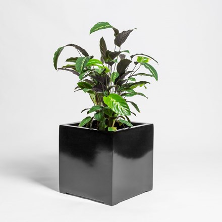 50cm Black Gloss Polystone Cube Planter