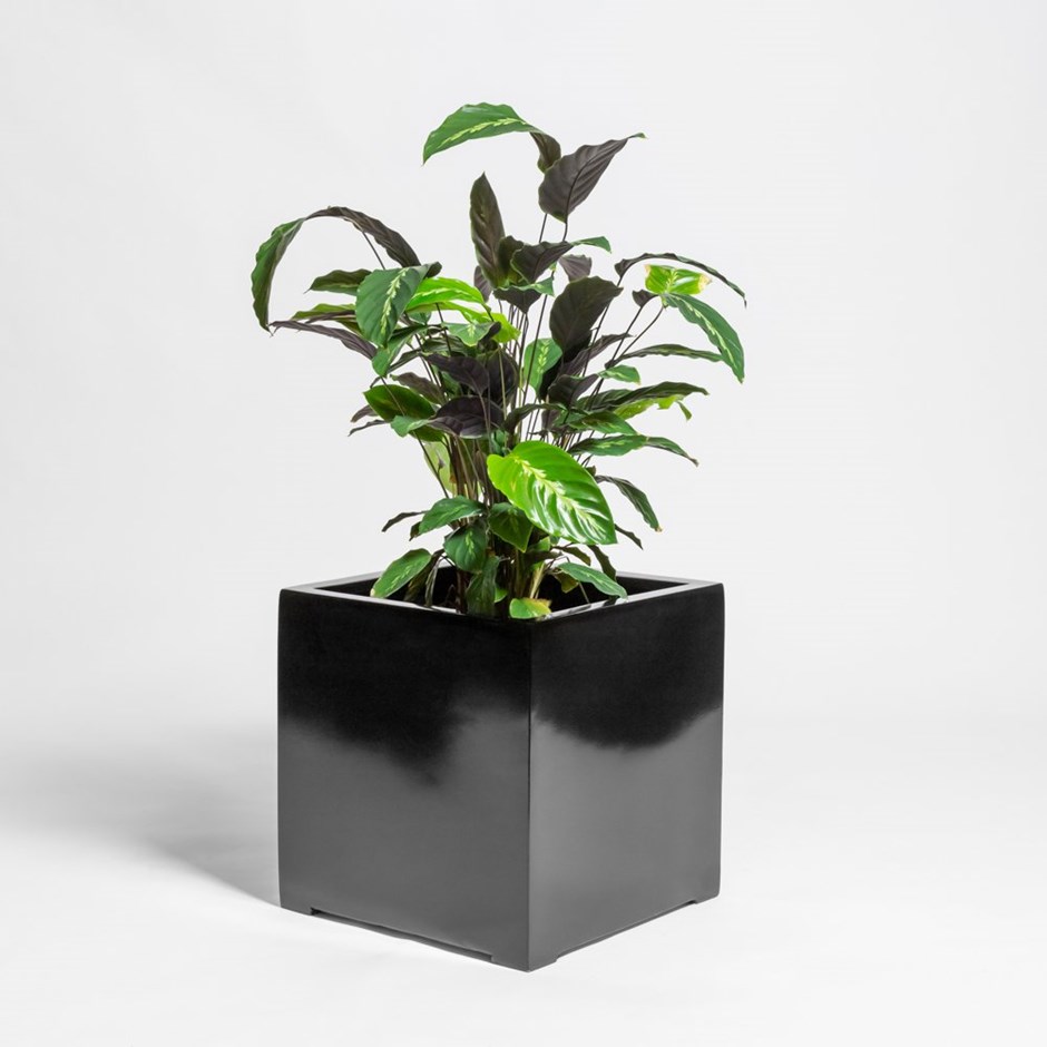 50cm Black Gloss Polystone Cube Planter