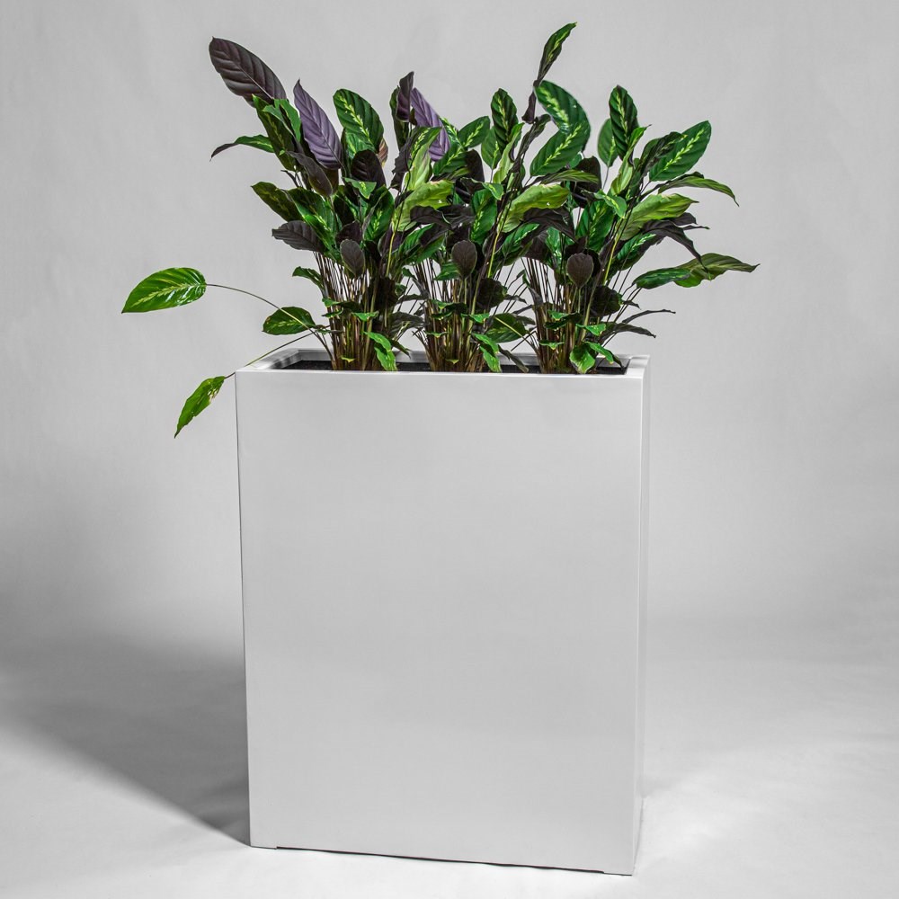 80cm White Gloss Polystone High Trough Planter