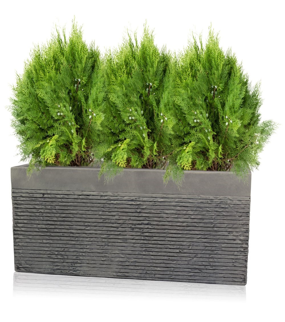 L60cm Medium Light Grey Fibrecotta Brick Design Trough Planter - By Primrose™