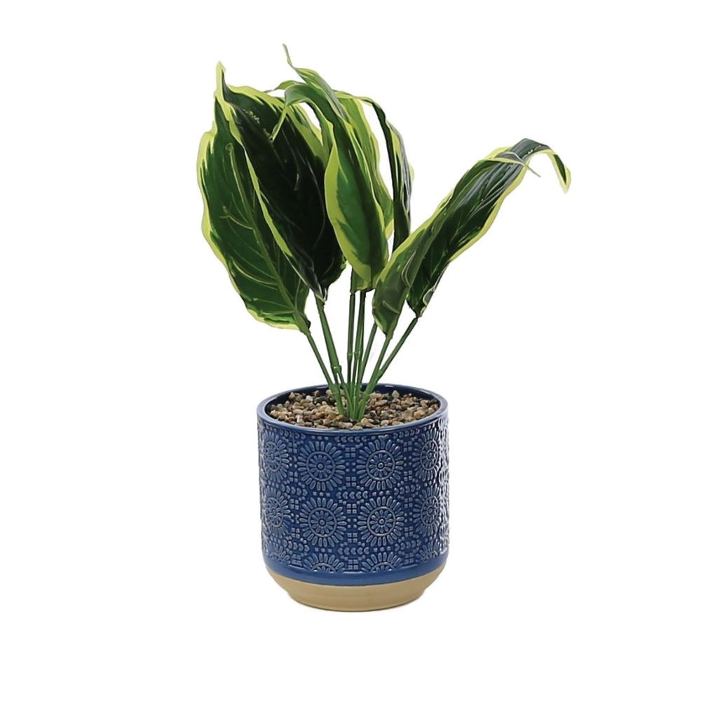 Artificial Calathea Plant & Decorative Pot