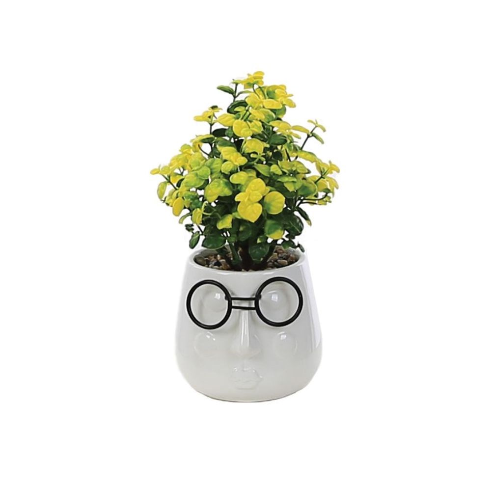 Artificial Tabletop Plant With Face Pot