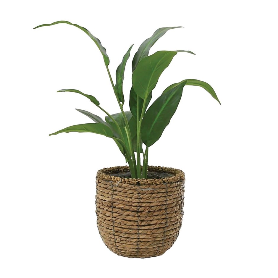 Artificial Peace Lily in Rattan Basket | 30cm