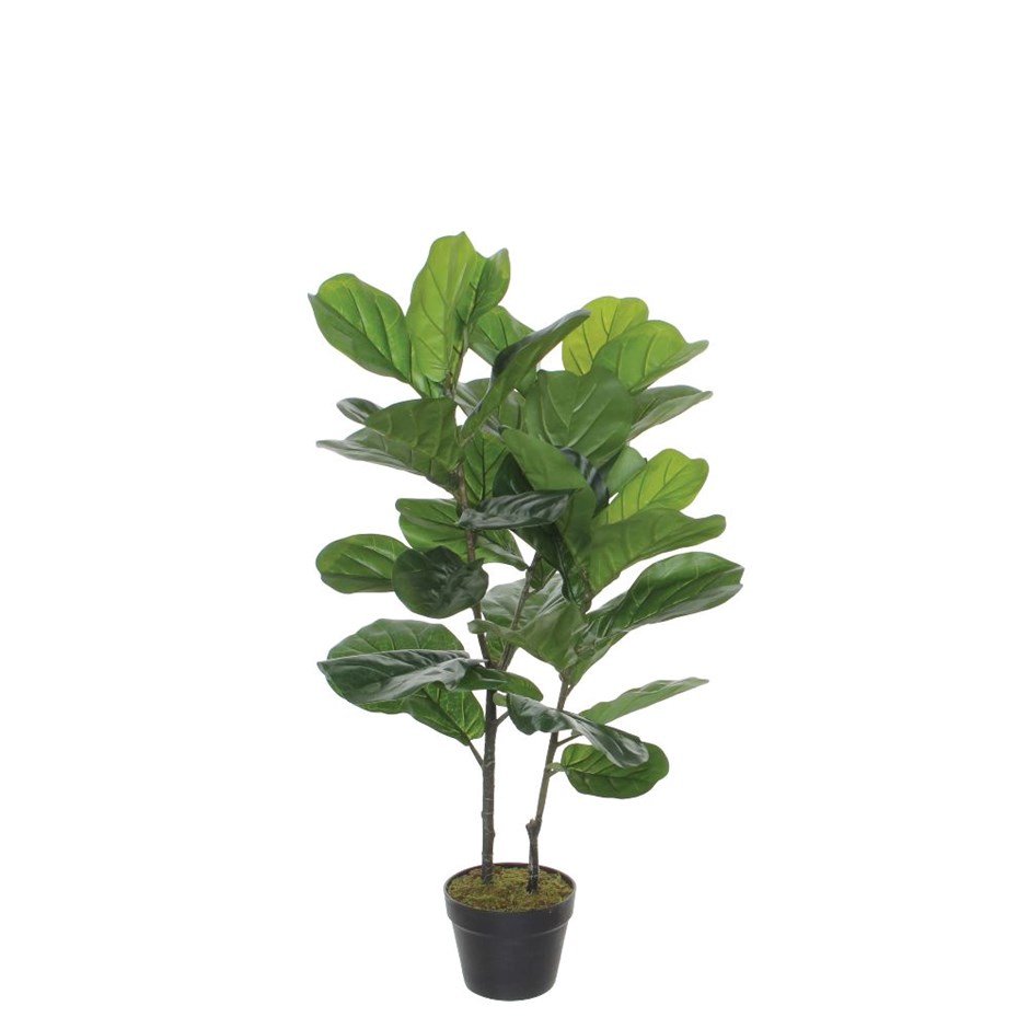 Artificial Ficus Lyrata in Pot | 100cm