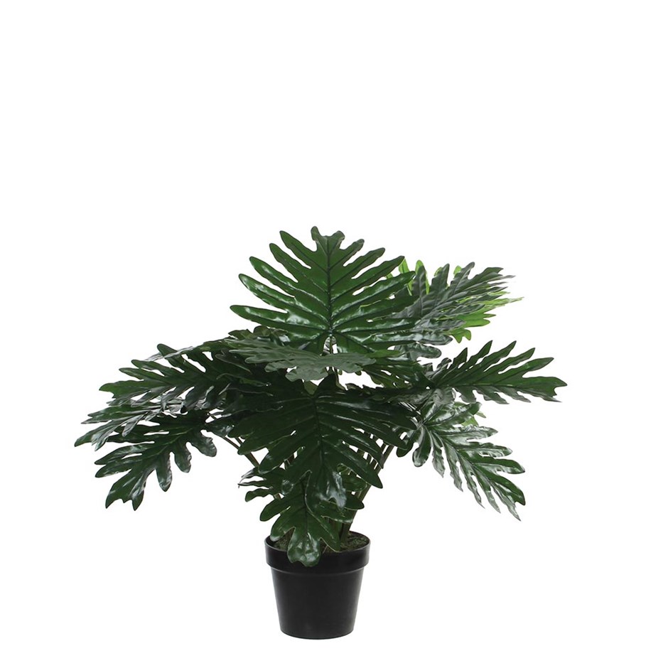 Artificial Philodendron in Pot | 80cm